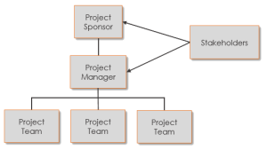 Generic project organization chart