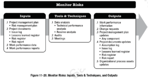 PMBOK Process: Monitor Risks