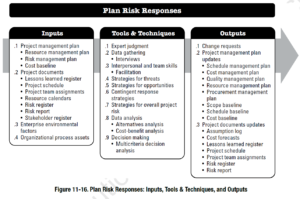 PMBOK Process: Plan Risk Responses