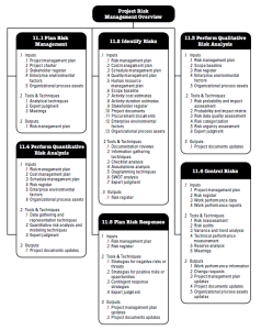 Risk Management process flow diagram