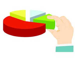 Project Management Pie Chart