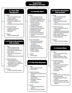 project risk management