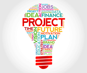 Project management light bulb