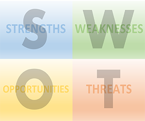 SWOT Analysis