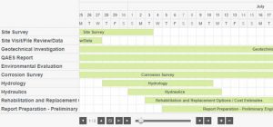 gantt chart from Nebulome