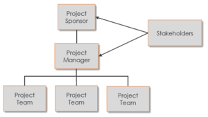 The Role Of The Project Team