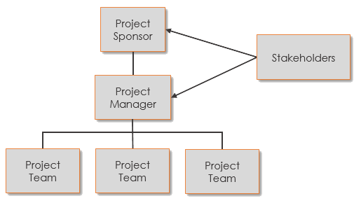 Agile Project Organization Chart