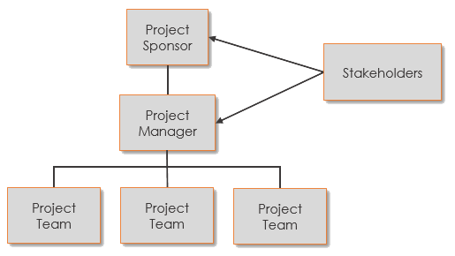 Project Organization Chart Definition