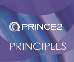 PRINCE2 Principles