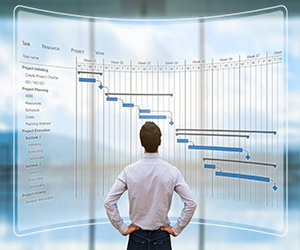 Project manager looking at gantt chart