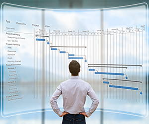 Man looking at gantt chart