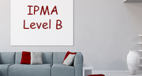 IPMA level B