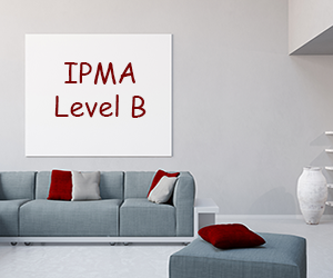 IPMA level B