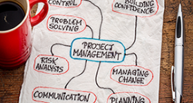 Project management