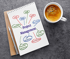 project management