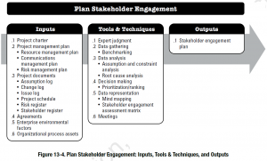 plan stakeholder engagement