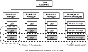 Composite organizational structure