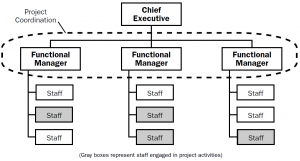 structure organizational project functional types organization