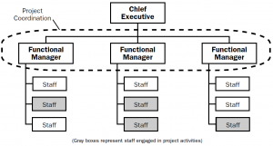 Functional organizational structure