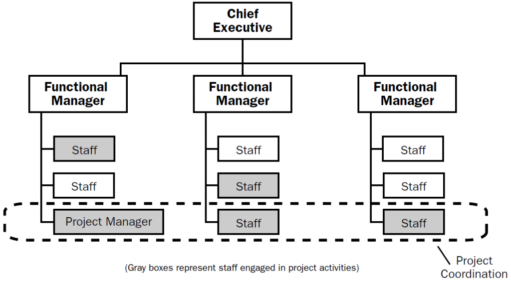 Matrix Diagram In Project Management Matrix Organization