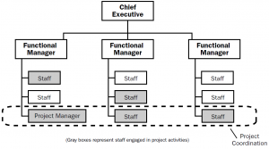 Balanced matrix organizational structure