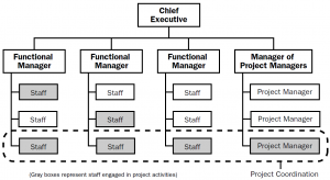 Estrutura organizacional matricial forte