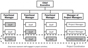 Estructura organizativa de matriz fuerte