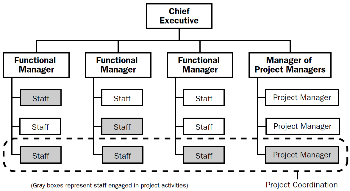 Project Organization Chart Definition