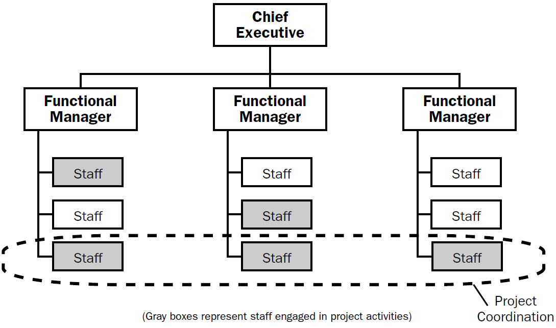 Project Management Office Organizational Chart