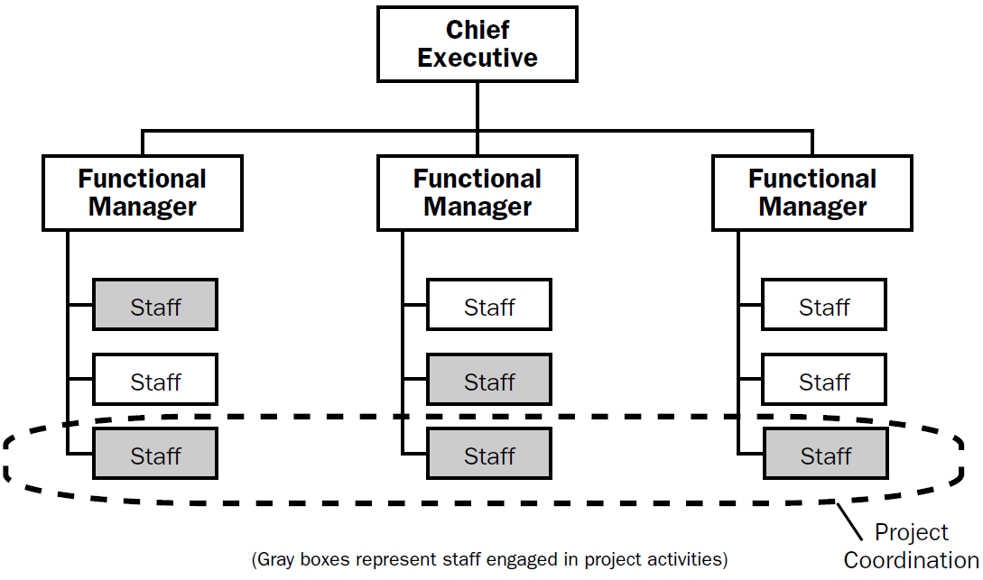 Pmo Org Chart