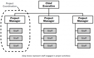 Project-oriented organizational structure