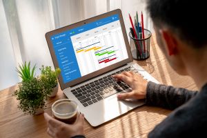 Project manager with gantt chart