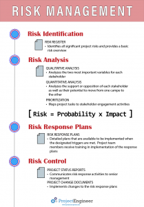 Risk management infographic